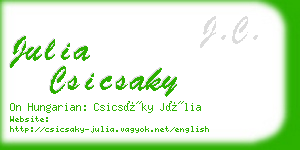 julia csicsaky business card